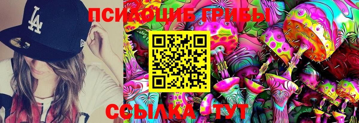 Галлюциногенные грибы Psilocybe  Вход с VPN  Псилоцибиновые грибы Cubensis  Ефремов 